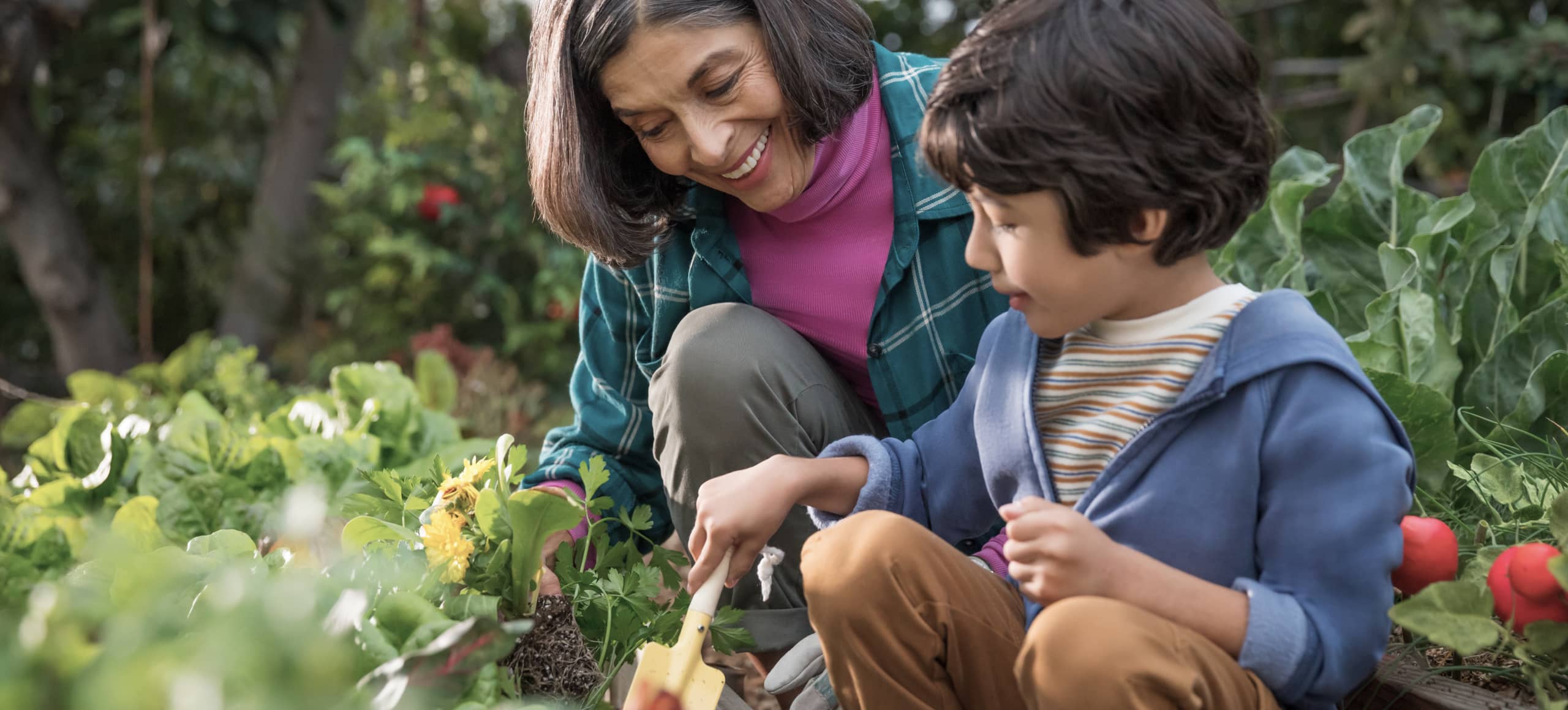 A grandparent and grandchild working together in the garden