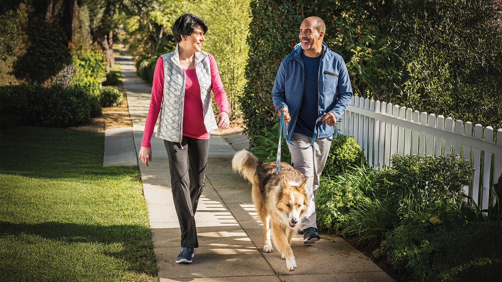 A man and woman walk a dog on a sidewalk, surrounded by greenery, enjoying a leisurely stroll together.